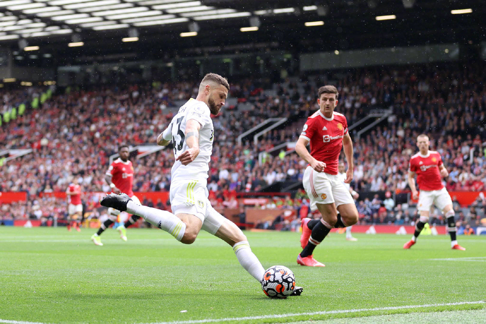 很快赢得了 很快赢得了