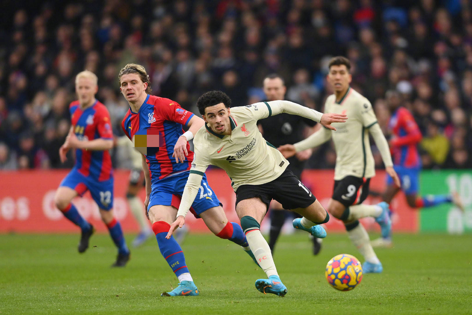 火热开幕 火热开幕